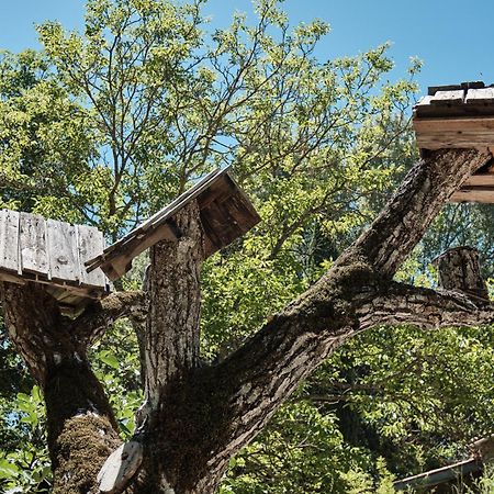 Les Maisons De Chante Oiseau Sigonce エクステリア 写真