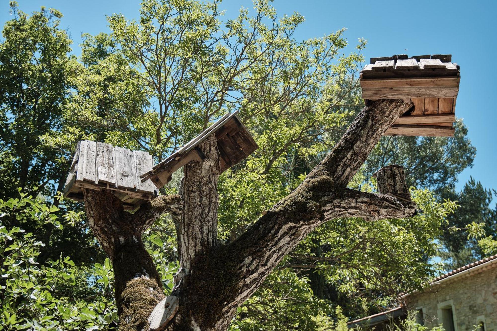 Les Maisons De Chante Oiseau Sigonce エクステリア 写真